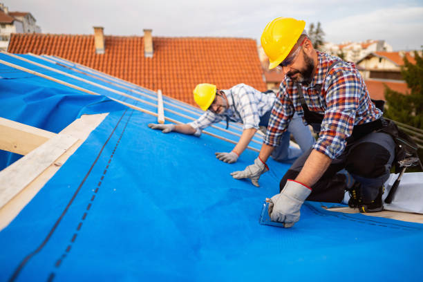 Best Metal Roofing Contractor  in Wartburg, TN